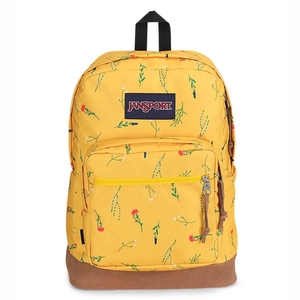 Sac à Dos Ordinateur JanSport Right Pack Jaune | CJO-28610460